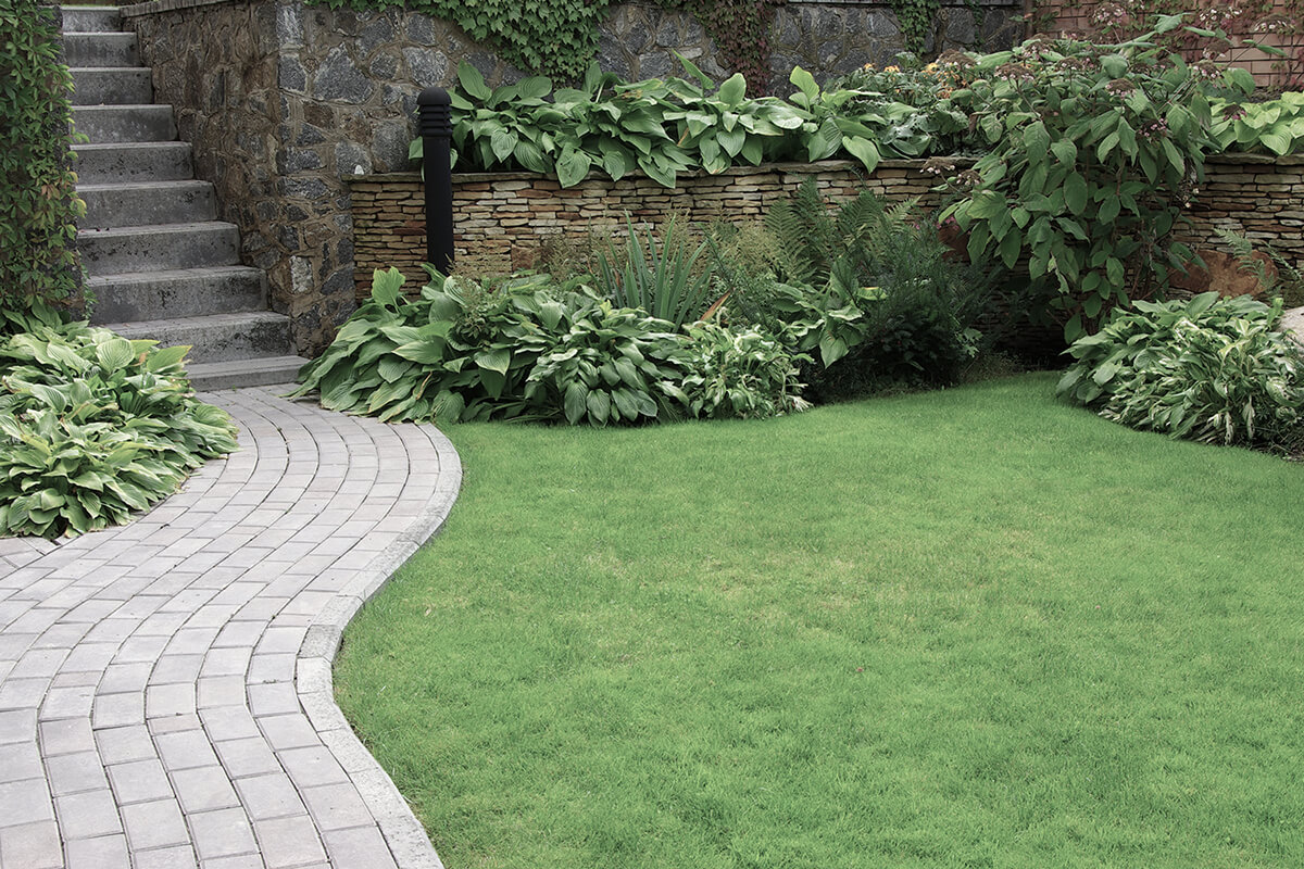 Welcome to JWS Landscaping